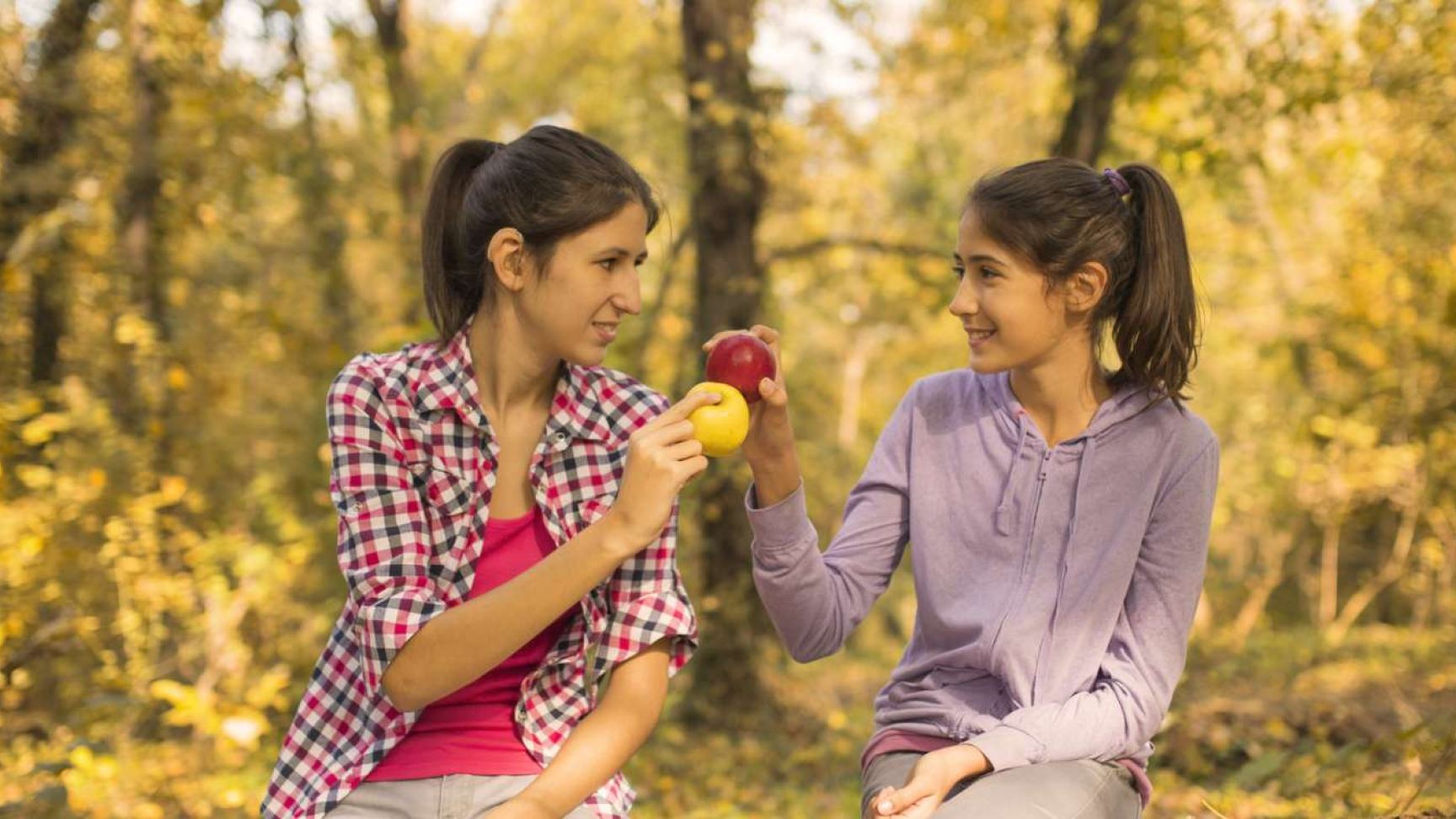 Bauformen und Farben